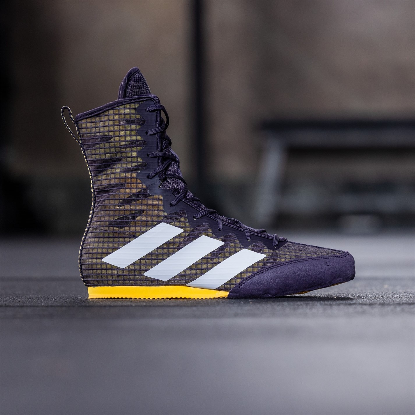 adidas gazelle silver green womens Boxing shoes Adidas Box Hog 4 Black-gold  Combat Arena