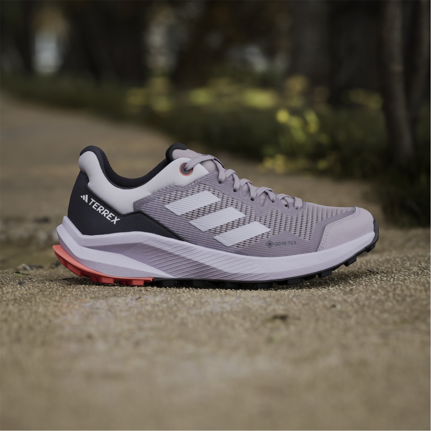 adidas | Terrex Trail Rider Gore-Tex Trail Womens Running Shoes | Off-Road  Running Shoes | FRASERS