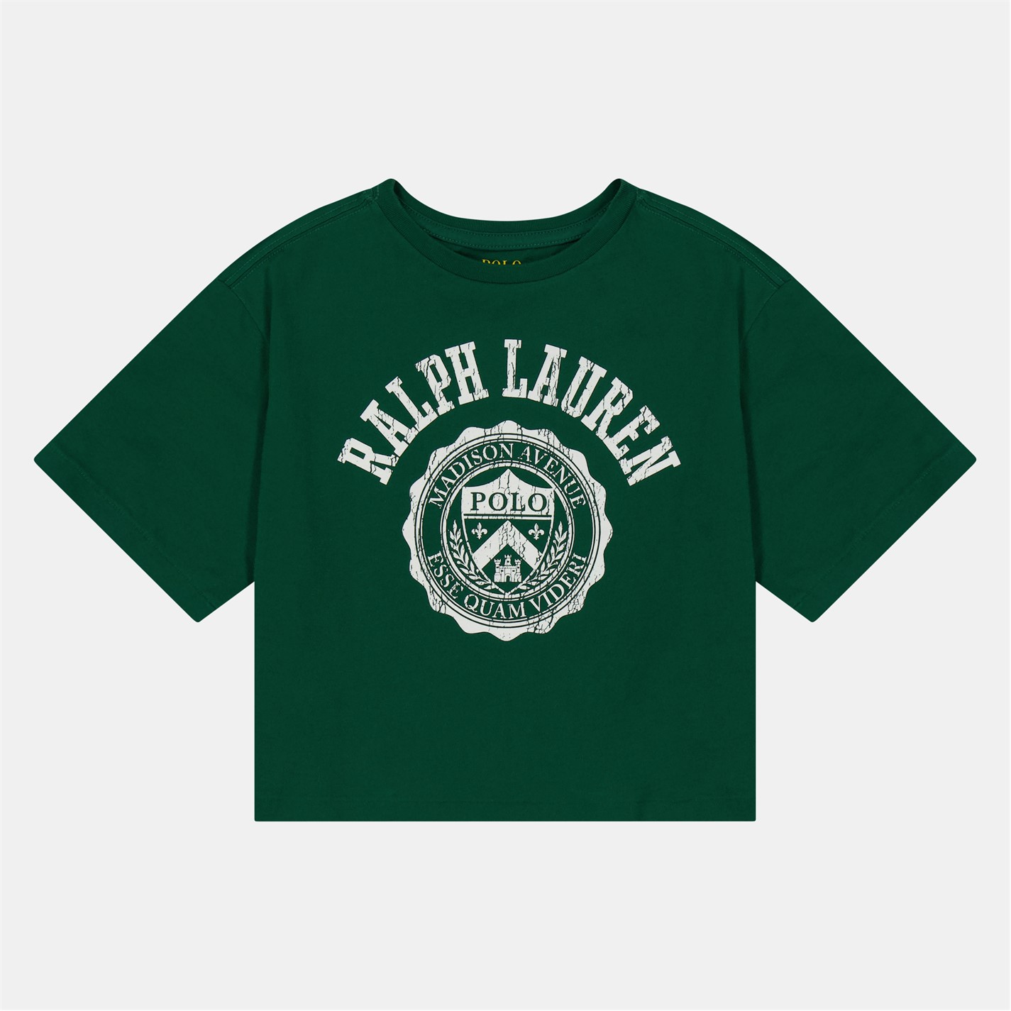 Polo Ralph Lauren Kids' Large Logo Regular Fit T-Shirt