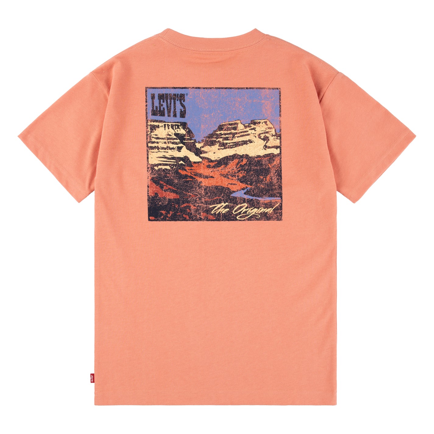 Levis Kids' Landscape Regular Fit T-Shirt Tawny Orange