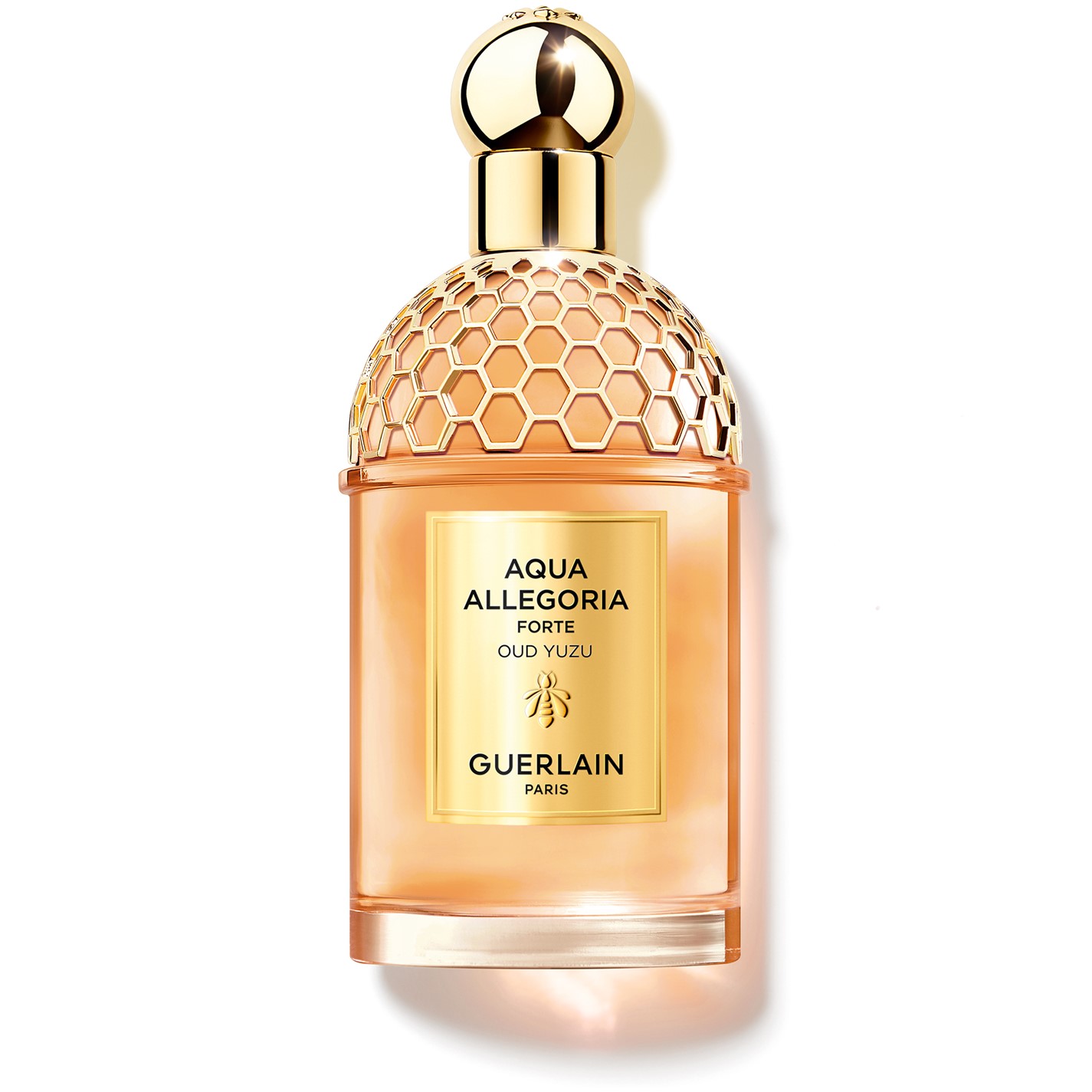 Aqua Allegoria Forte Oud Yuzu Eau de Parfum by GUERLAIN