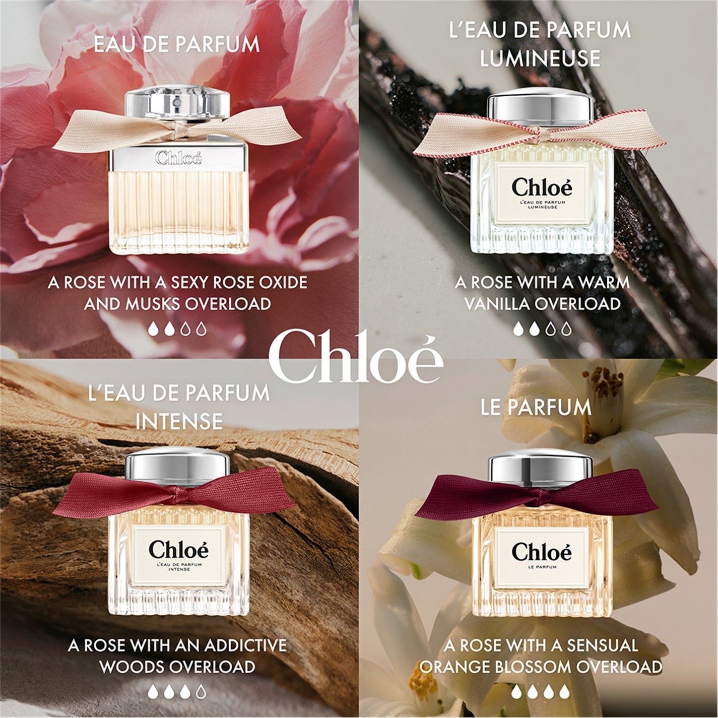 Chloe | Eau de Parfum For Her | Mist | FRASERS Ireland