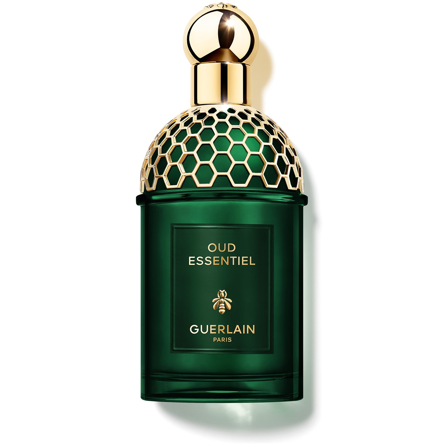 Absolus Allegoria Oud Essentiel Eau de Parfum by GUERLAIN