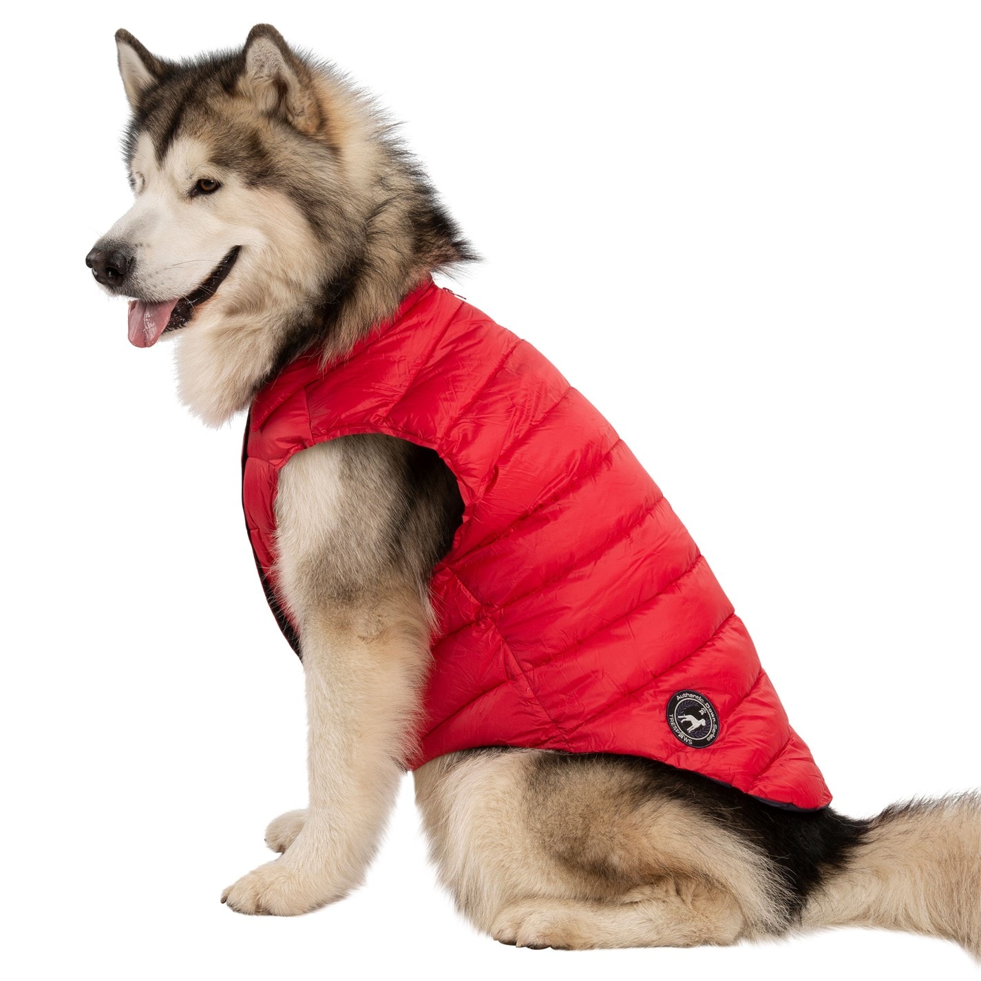 Trespaws Adults Trespaw Dogby Dog Coat Postbox Red X FRASERS