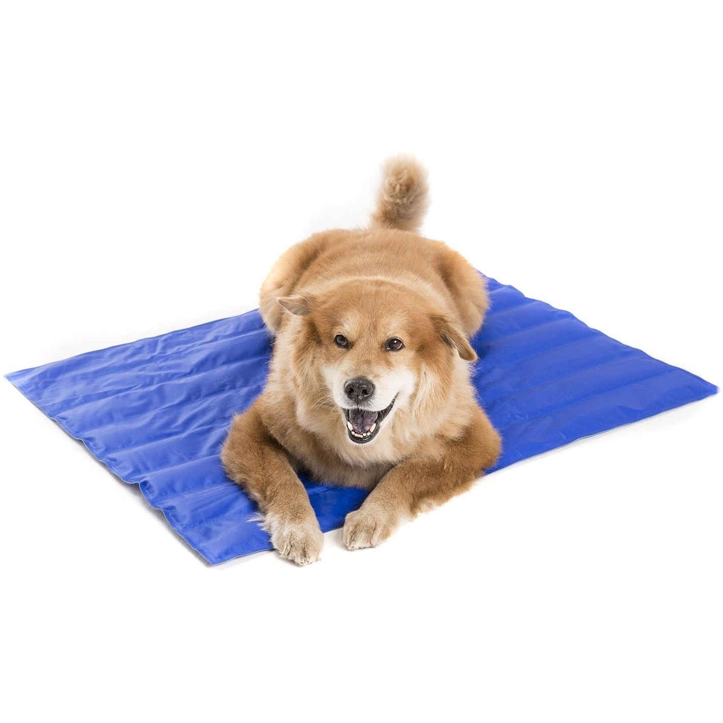 COCO JO Coco Jojo Extra Large Pet Mat Blue House of Fraser