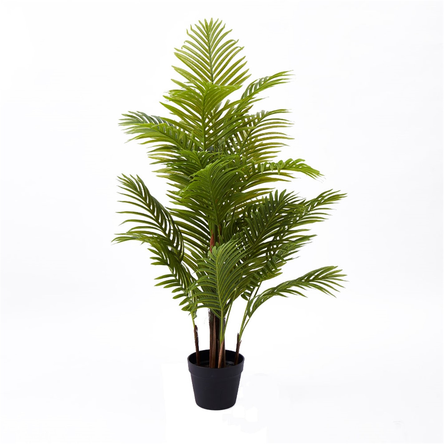 Grace Home Palm Tree With Pot Palm Tree House of Fraser
