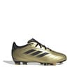 Gold/Black