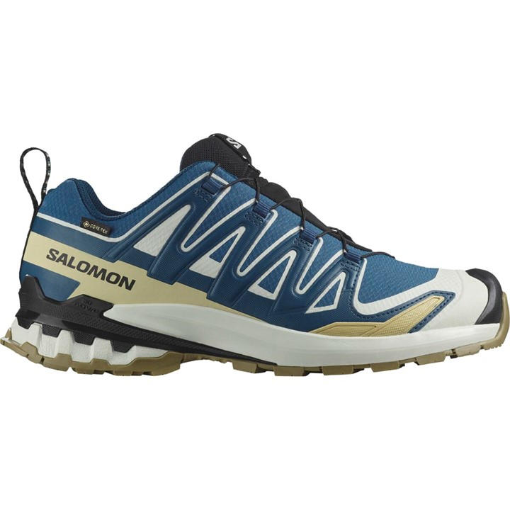 SALOMON XA PRO 3D V8 TRAIL RUNNING SHOES MENS