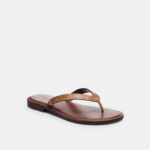 Coach - Coach Brianna Flp Ld53