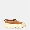 Chestnut/White