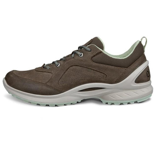 Ecco - Biom Energi