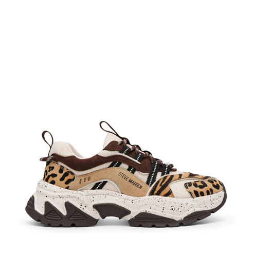 Steve Madden - Animates-LE Trainers