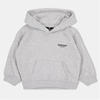 Ash Grey
