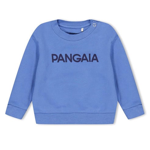 PANGAIA - Unisex Kids' Logo Crew Neck Sweatshirt