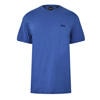 Blue 494