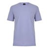 Lilac 549