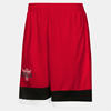 Chicago Bulls