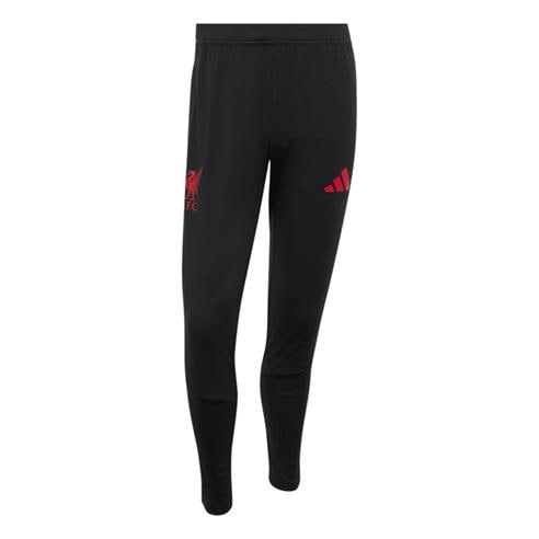 adidas - Liverpool Training Pant 2026/27 Mens