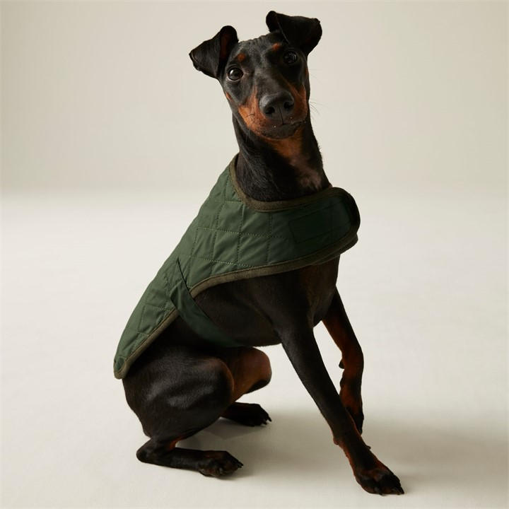 Regatta Unisex Green Odie Quilted Dog Coat Medium