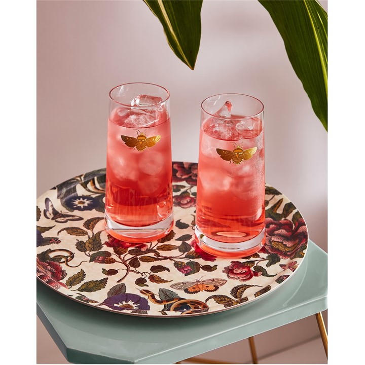 Spode Unisex Multi Creatures Of Curiosity Highball Glass Set