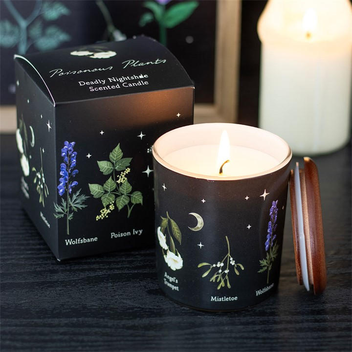 Something Different Unisex Black Deadly Nightshade Scented Candle
