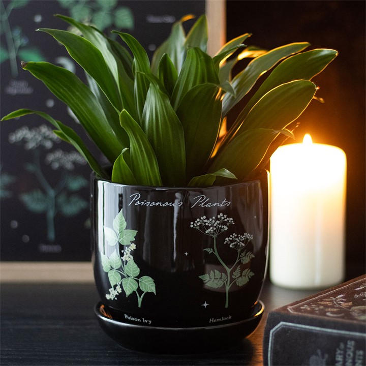 Something Different Unisex Black Poisonous Plants Plant Pot