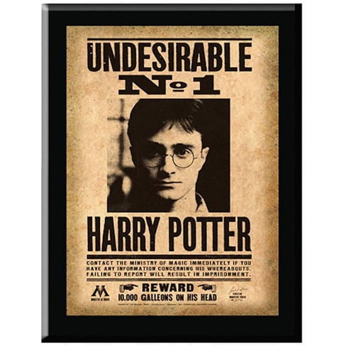 Harry Potter - Harry Potter Undesirable Plaque