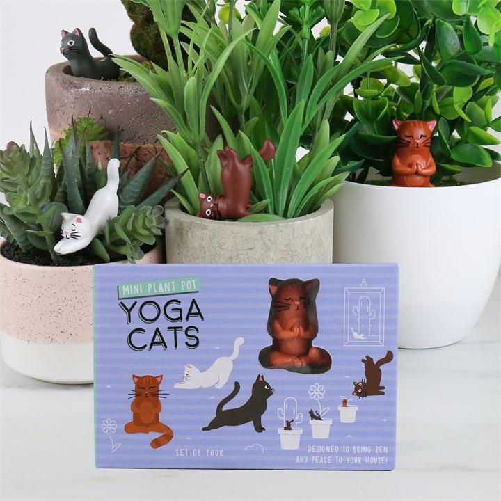 Gift Republic Unisex Purple Mini Plant Pot Yoga Cats