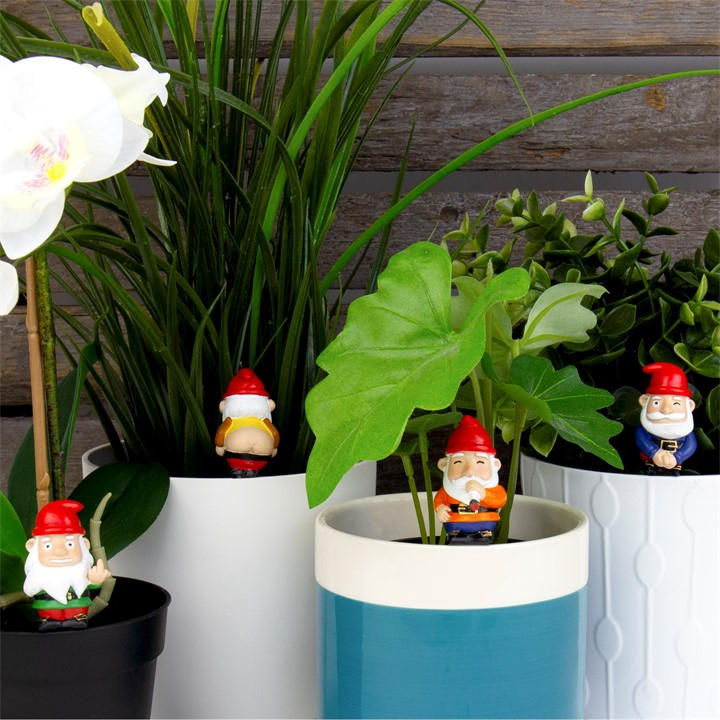 Gift Republic Unisex Black Mini Plant Pot Naughty Gnomes