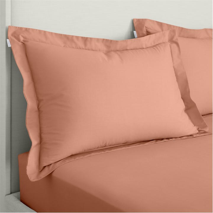 Bianca Unisex Brown 200 Tc Cotton Percale Oxford Pillowcase Pair