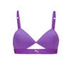 Astor Purple