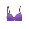 Astor Purple