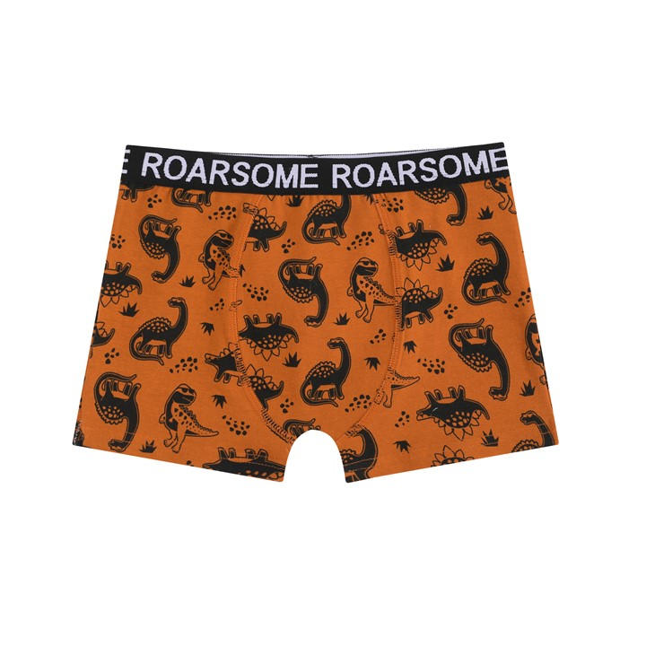 MULTI - Studio - Younger Boys Roarsome 7 Pack Trunks