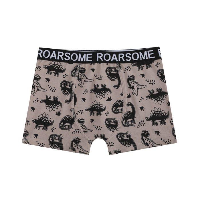 MULTI - Studio - Younger Boys Roarsome 7 Pack Trunks