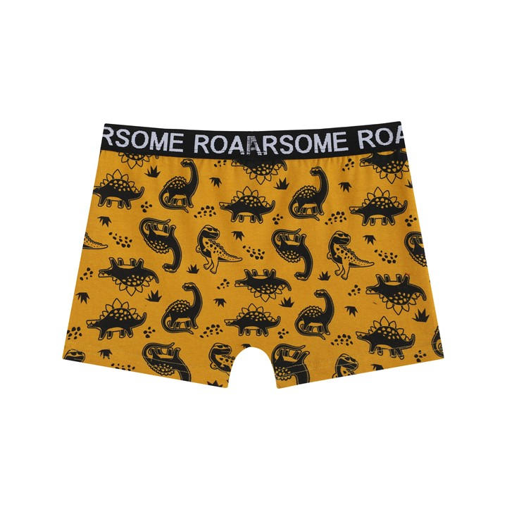 MULTI - Studio - Younger Boys Roarsome 7 Pack Trunks