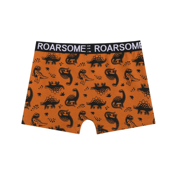 MULTI - Studio - Younger Boys Roarsome 7 Pack Trunks