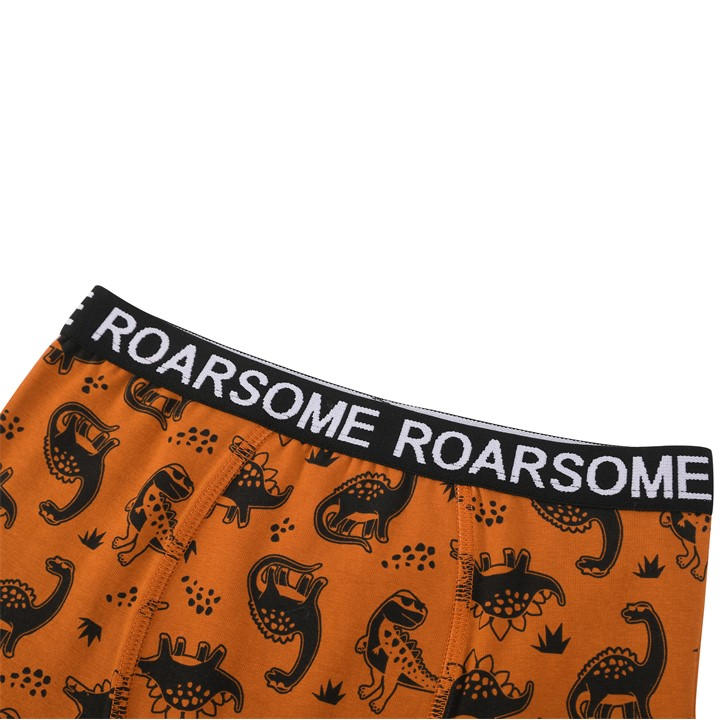 MULTI - Studio - Younger Boys Roarsome 7 Pack Trunks