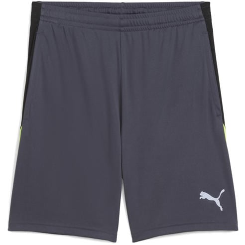 Puma - Puma Individualliga Training Shorts 2 (Op Football Short Mens