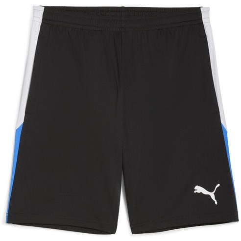 Puma - Puma Individualliga Training Shorts 2 (Op Football Short Mens