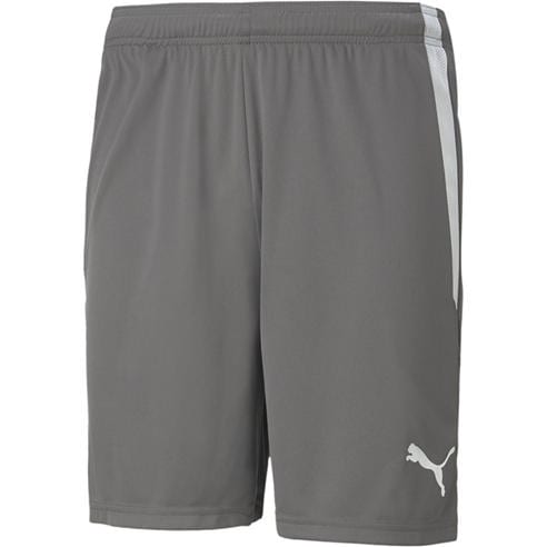 Puma - Puma Teamliga Shorts Football Short Mens