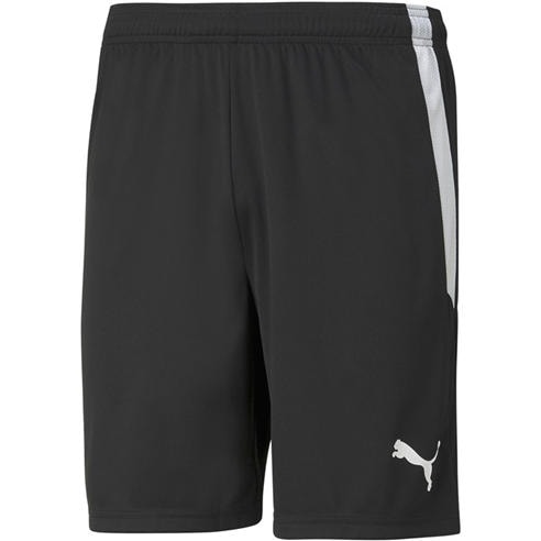 Puma - Puma Teamliga Shorts Football Short Mens