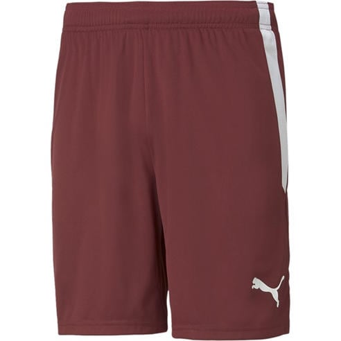 Puma - Puma Teamliga Shorts Football Short Mens