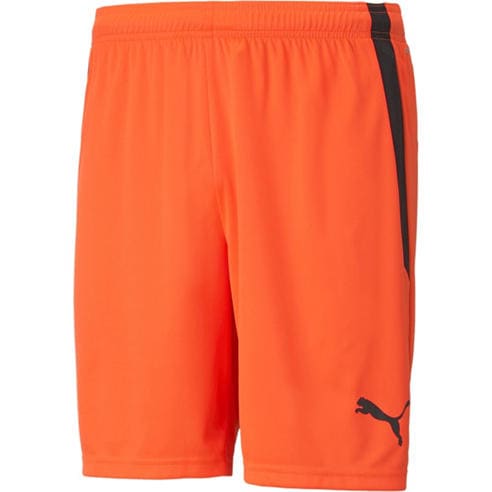Puma - Puma Teamliga Shorts Football Short Mens