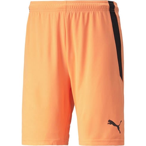 Puma - Puma Teamliga Shorts Football Short Mens