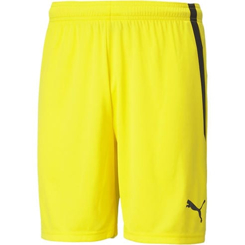 Puma - Puma Teamliga Shorts Football Short Mens
