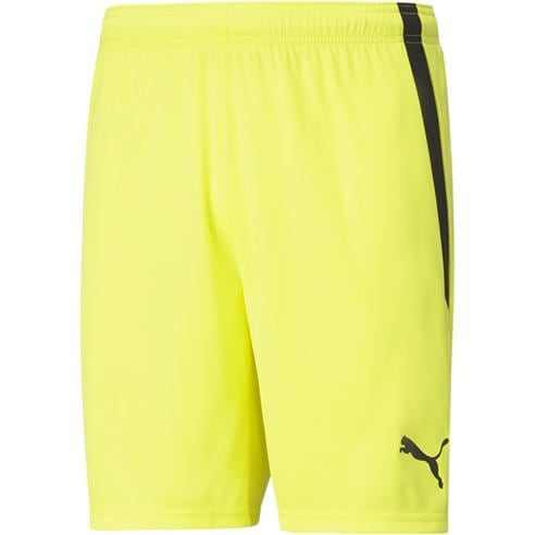 Puma - Puma Teamliga Shorts Football Short Mens