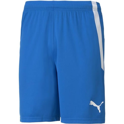 Puma - Puma Teamliga Shorts Football Short Mens