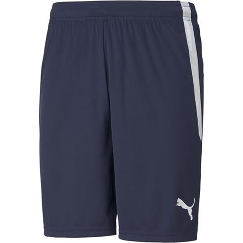 Puma - Puma Teamliga Shorts Football Short Mens