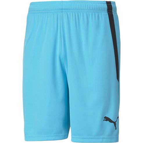 Puma - Puma Teamliga Shorts Football Short Mens