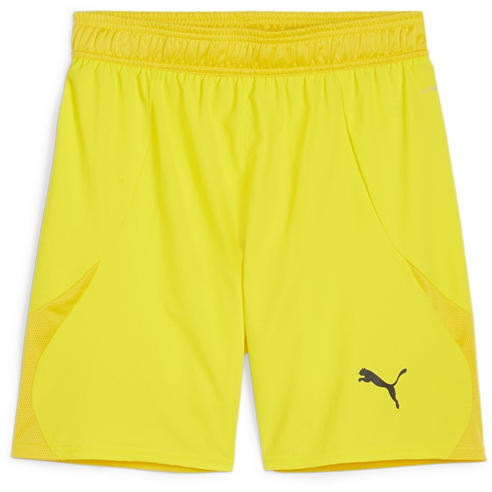 Puma - Puma Teamfinal Shorts Football Short Mens